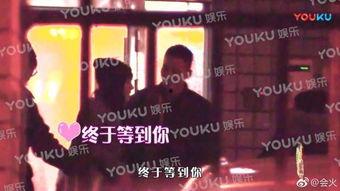 扒爷爆料钟楚曦视频大全,钟楚曦视频大全背后的故事与真相